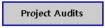 Text Box: Project Audits